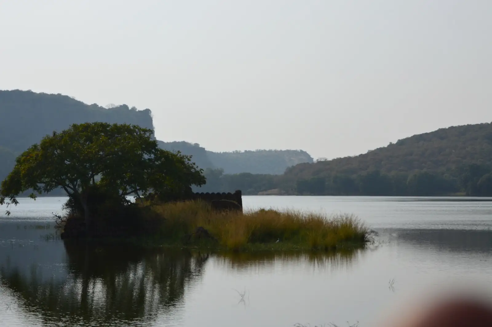 Padam Talao lake, Ranthambore National Park