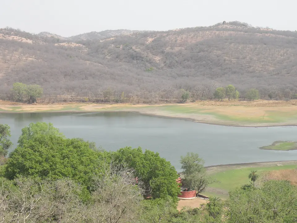 Jogi Mahal, the old banyan tree and Padam Talao