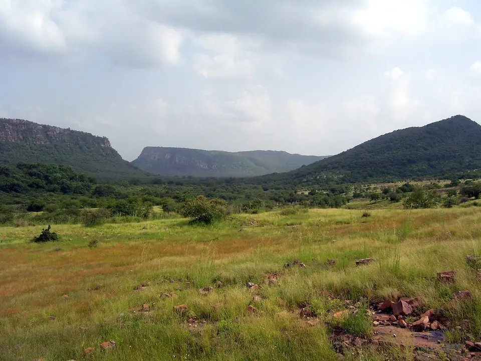 Forested hills of Ranthambore National Park