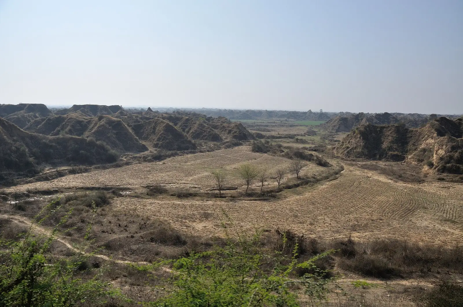Chambal ravines in eastern Rajasthan