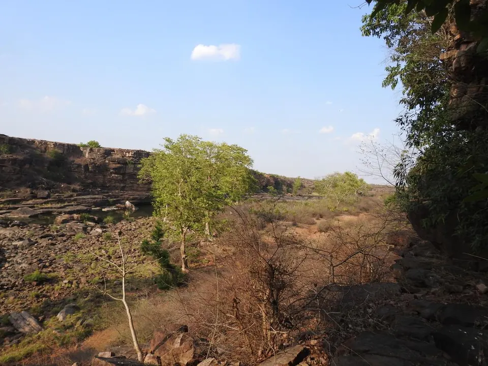 Wide Vindhya gorge landscape with layered rock cliffs and scattered trees